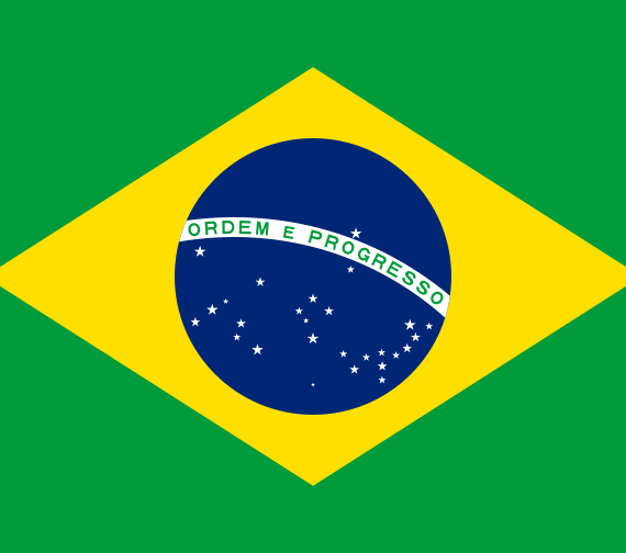 REPATRIERE BRAZILIA